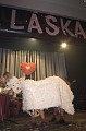 img00067[1]